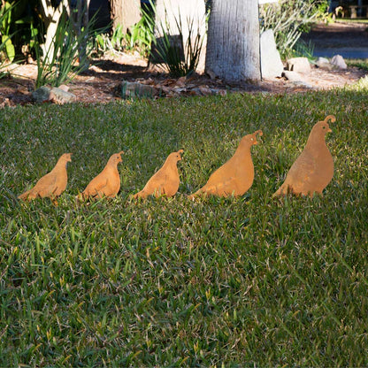 Garden Sculptures - Set of 5
