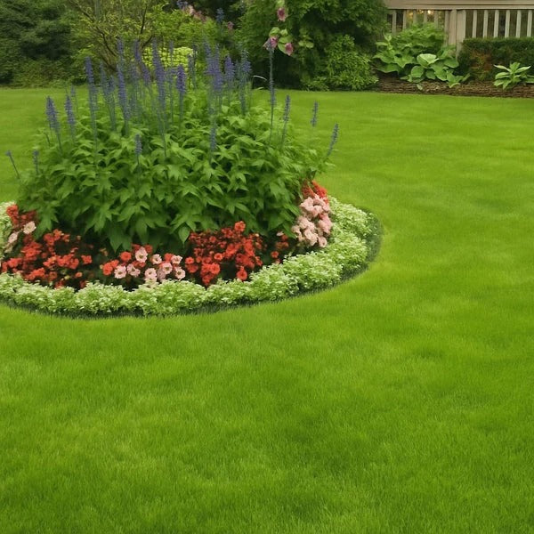 Four-Season Evergreen Dwarf Grass Growing Pack