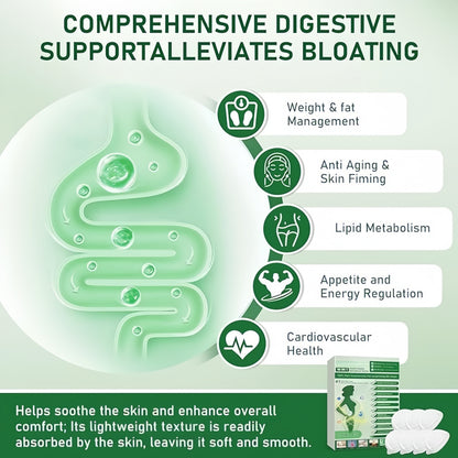 Advanced Nano Microneedle Slimming Patch